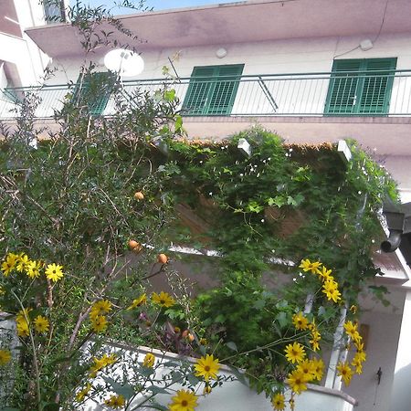 Apartman Sulic Podgora Kültér fotó